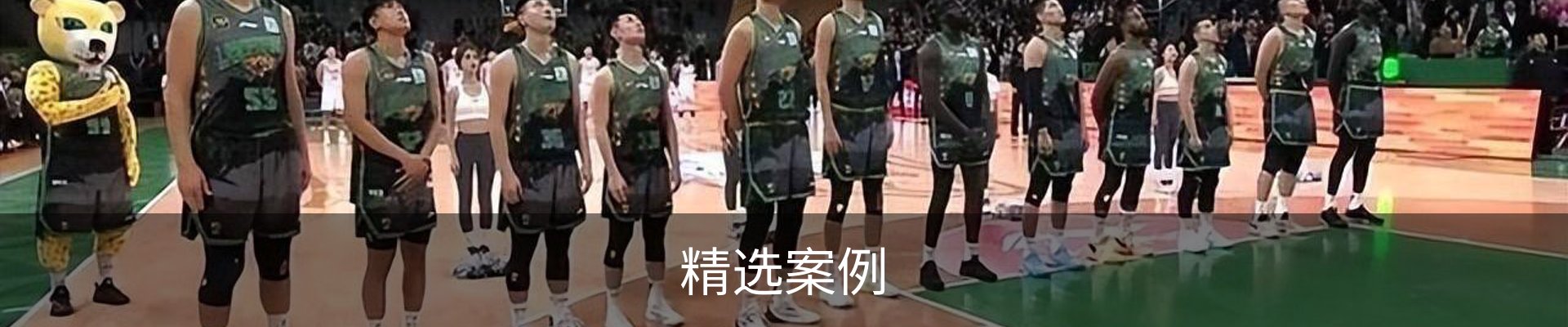 精选案例